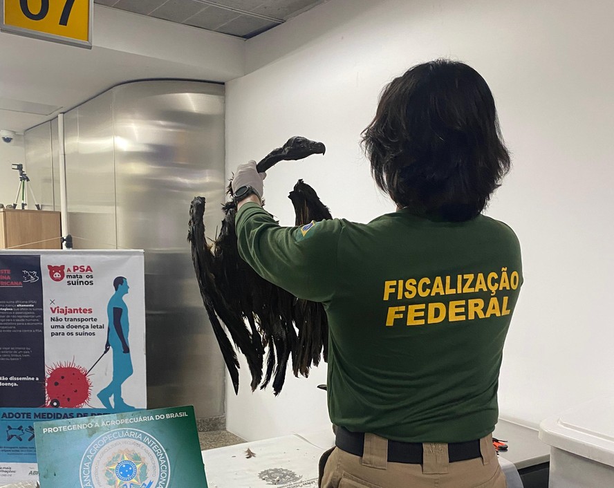 Foto: Anffa Sindical 
