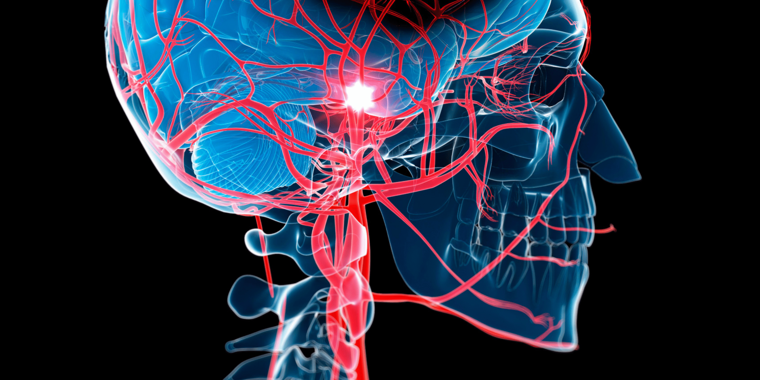Foto: Redação MD News