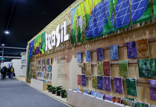 Foto: Fernando Donasci/MMA
