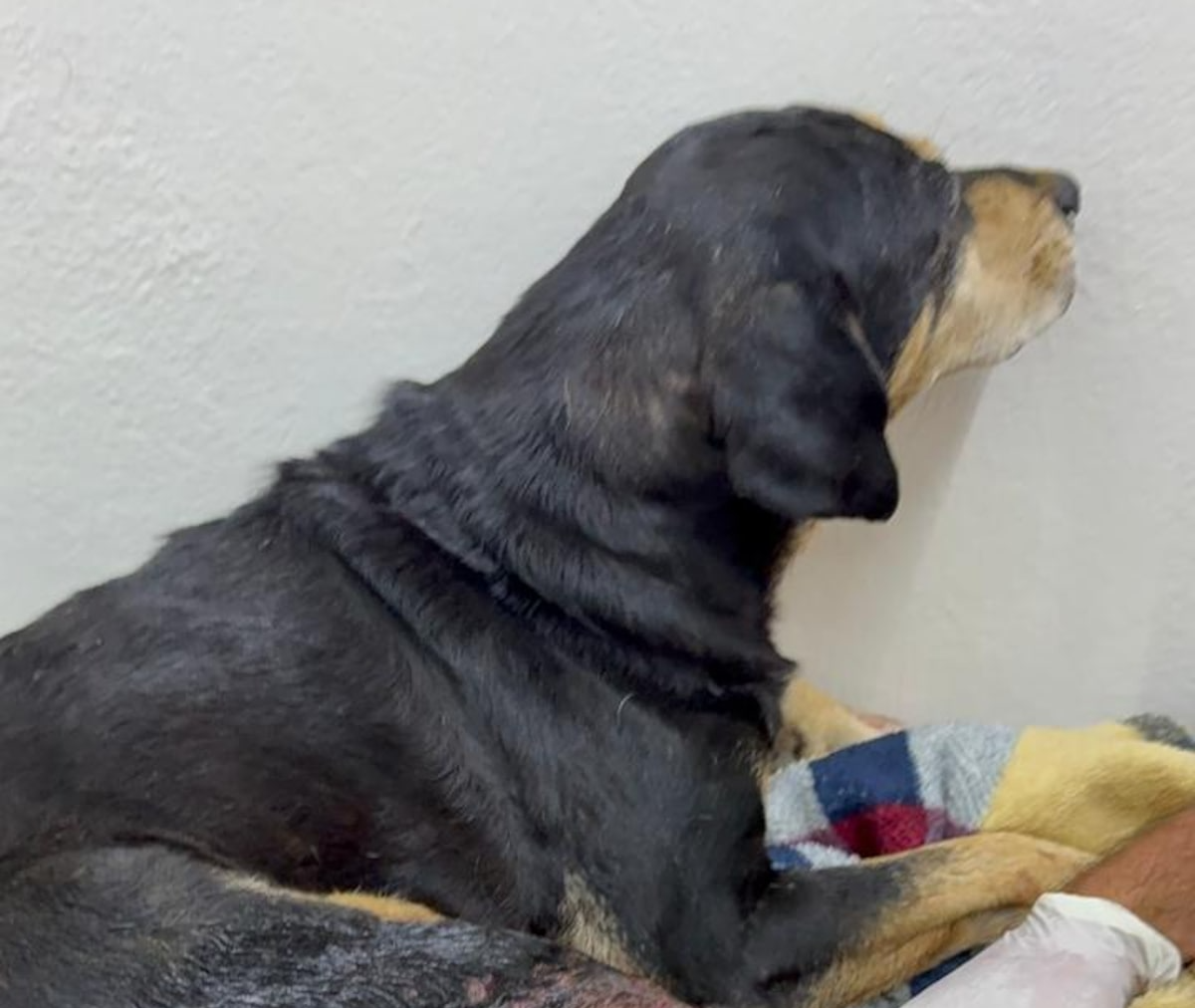 Foto: Reprodução/Estadão