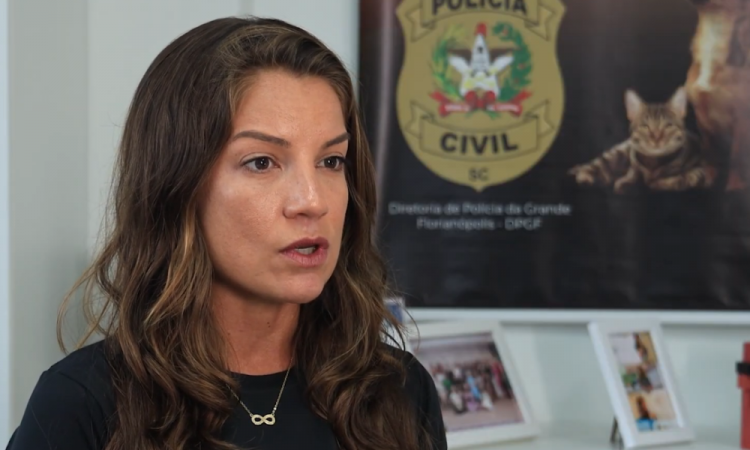 Foto: Divulgação/Polícia Civil de Santa Catarina