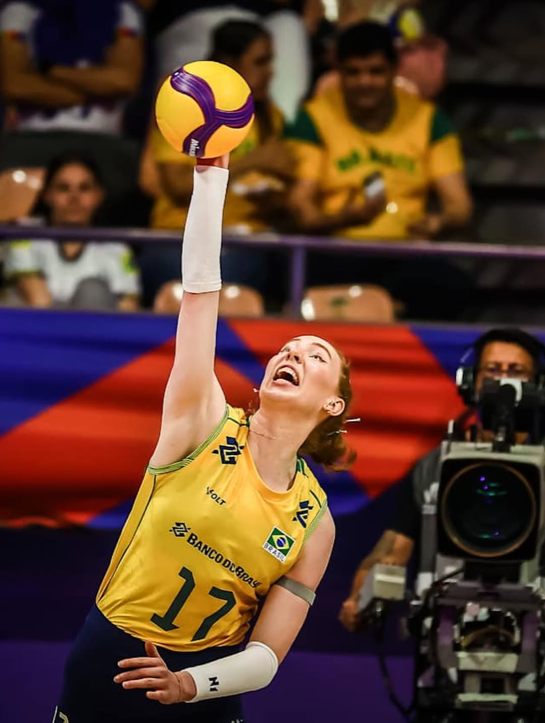 Foto: Reprodução Instagram @cbvolei