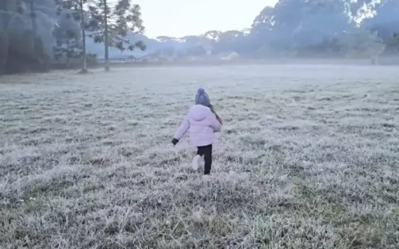  Foto: Divulgação / Porto Alegre 24 horas