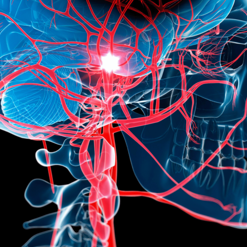 Foto: Redação MD News