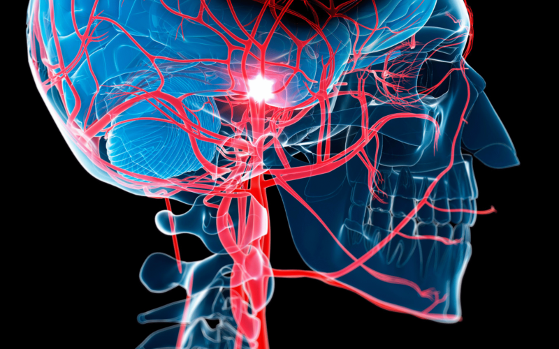 Foto: Redação MD News