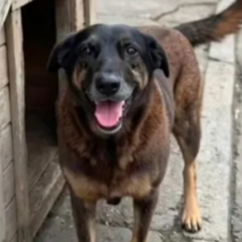 Foto: Reprodução / Redes Sociais
