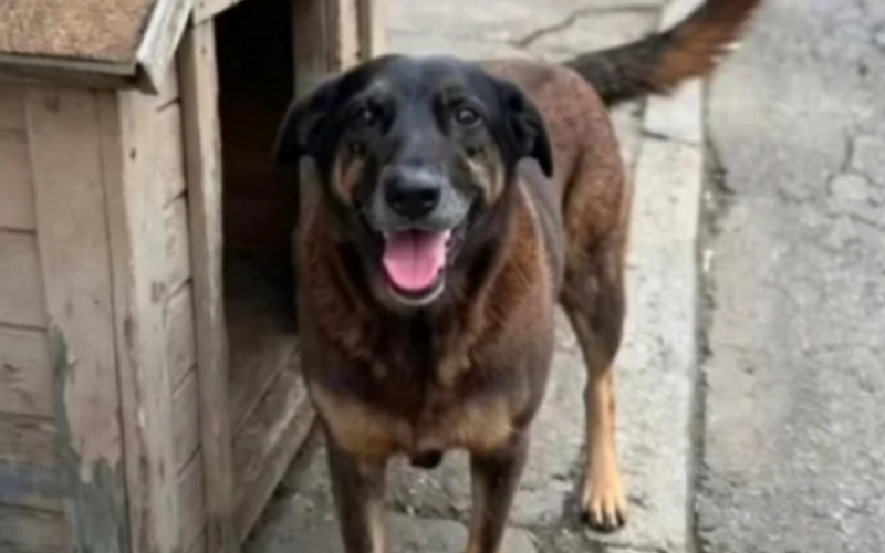 Foto: Reprodução / Redes Sociais
