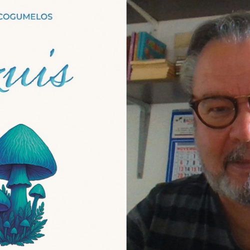 Fotos: Reprodução: Agência LC de Comunicação