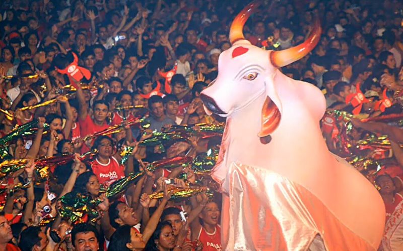 Foto: Reprodução/Internet