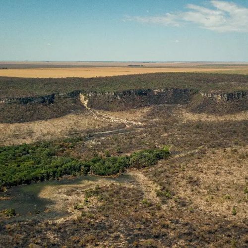 Foto: Thomas Bauer/Instituto Sociedade População e Natureza
