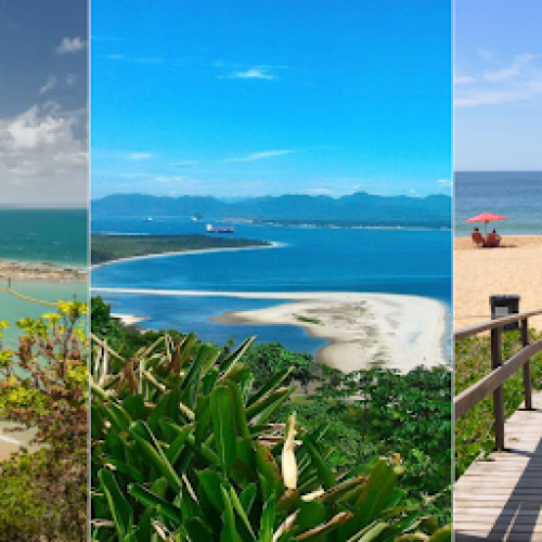 Foto: Reprodução/Montagem MD News
