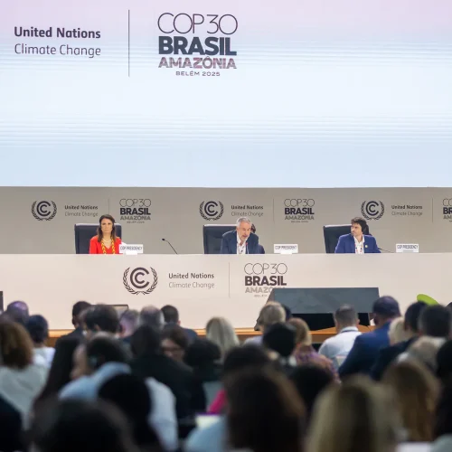 Foto: Lela Beltrão/ SUMAÚMA