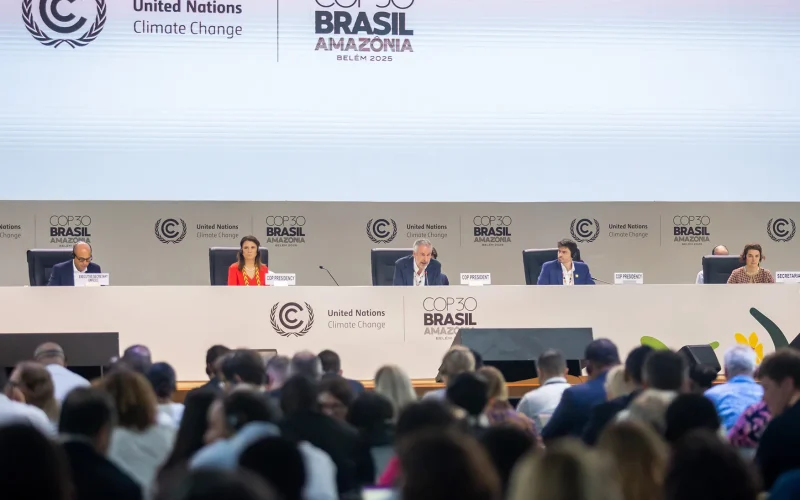 Foto: Lela Beltrão/ SUMAÚMA