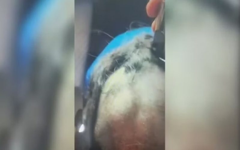 Foto: Reprodução/Rede social