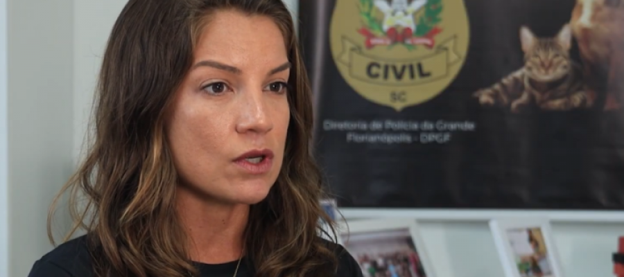 Foto: Divulgação/Polícia Civil de Santa Catarina