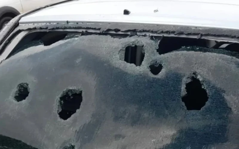 Foto: Reprodução SBT News