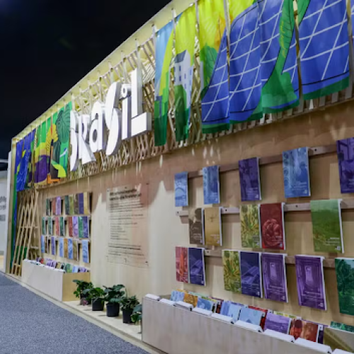 Foto: Fernando Donasci/MMA
