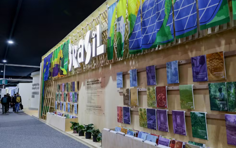 Foto: Fernando Donasci/MMA
