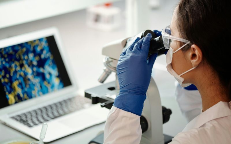 Foto: Edward Jenner/Pexels