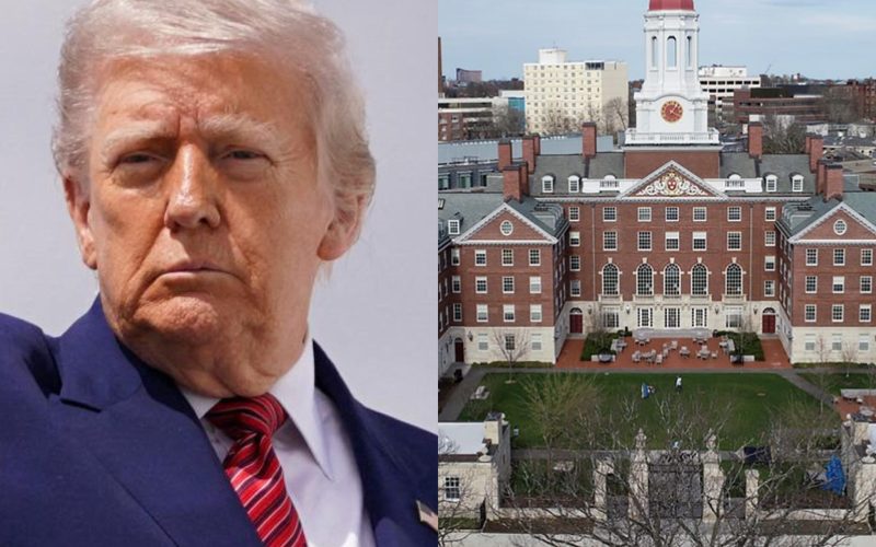 Foto: Montagem MD News