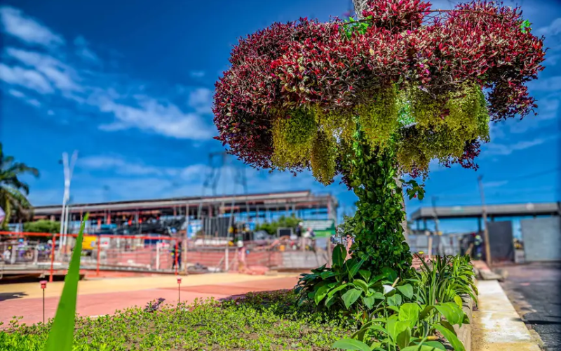 COP30: “Jardins suspensos” substituem árvores em áreas de obras; projeto gera debate sobre sustentabilidade
