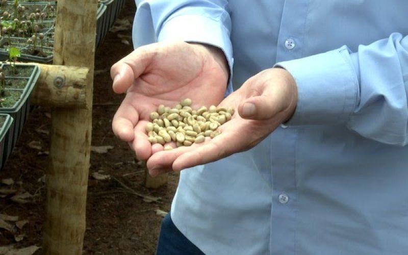 Foto: Reprodução/ EPTV