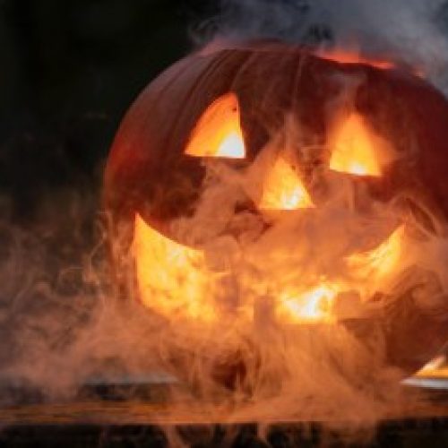 Imagem: Reprodução | Szabo Janos/UnSplash