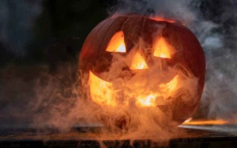 Imagem: Reprodução | Szabo Janos/UnSplash
