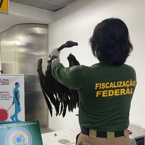 Foto: Anffa Sindical 
