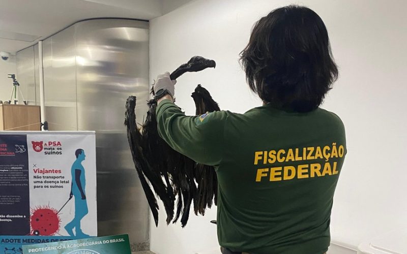 Foto: Anffa Sindical 
