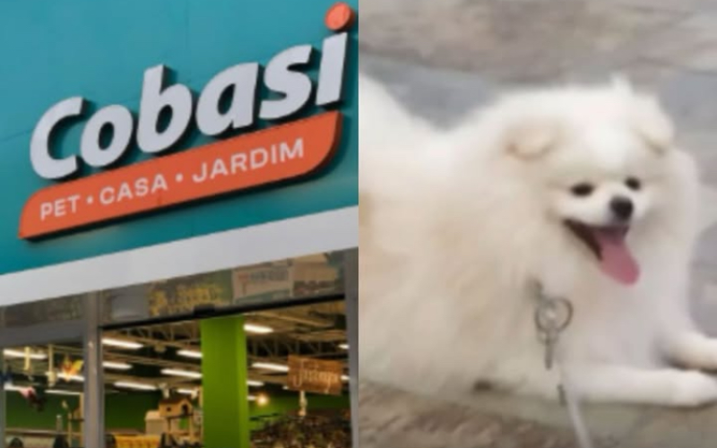 Foto: reprodução/BNews