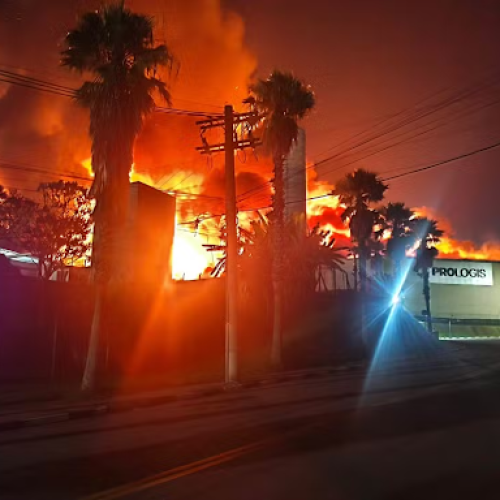 Foto: Divulgação/Polícia Militar
