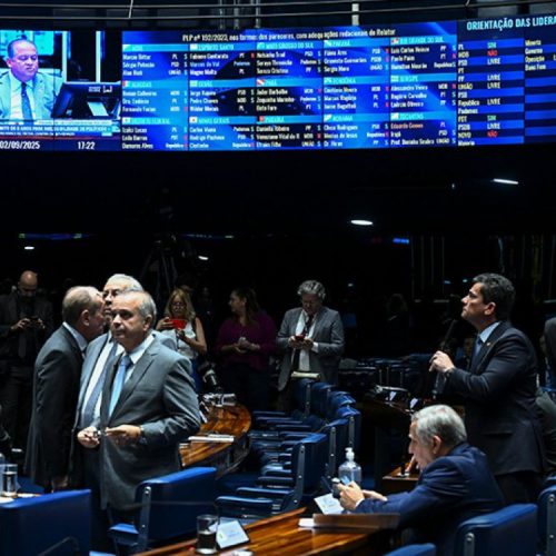 Foto: Jefferson Rudy/Agência Senado

