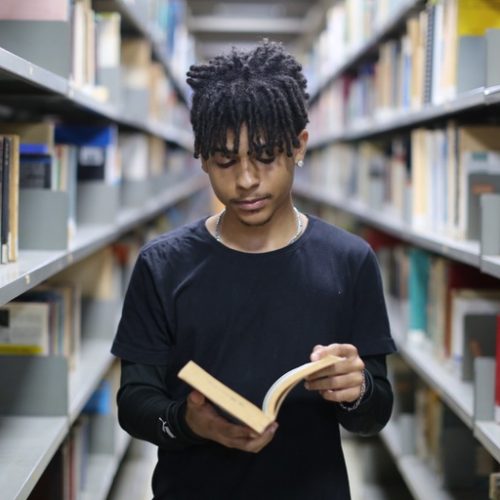 MEC Livros