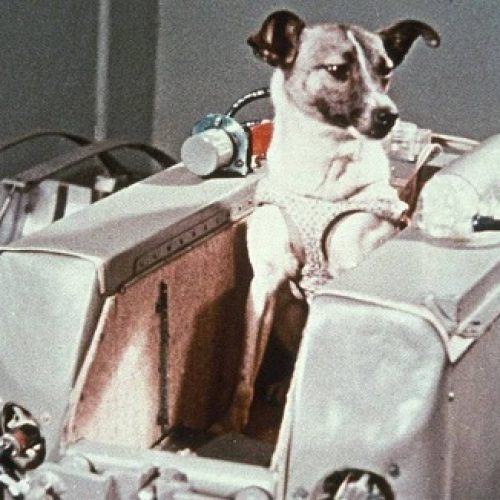 Foto: Reprodução: AFP/GETTY IMAGES