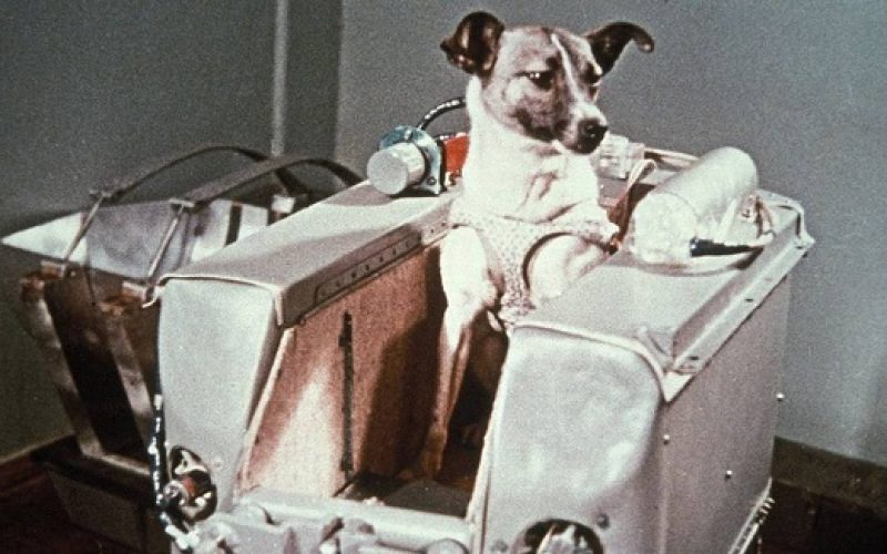 Foto: Reprodução: AFP/GETTY IMAGES