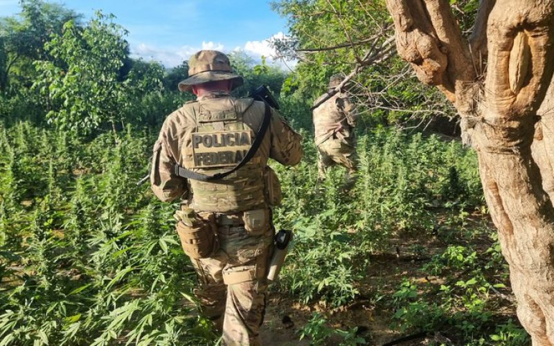 Foto: Polícia Federal / PE