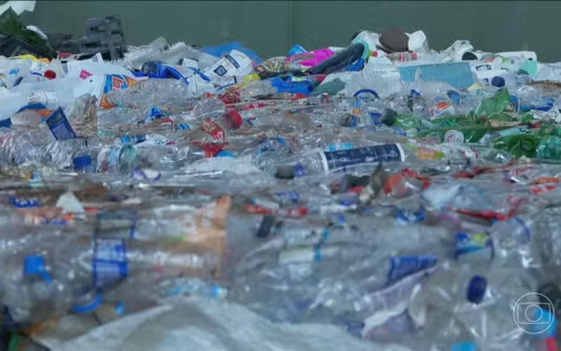 Foto: Reprodução/Jornal Nacional