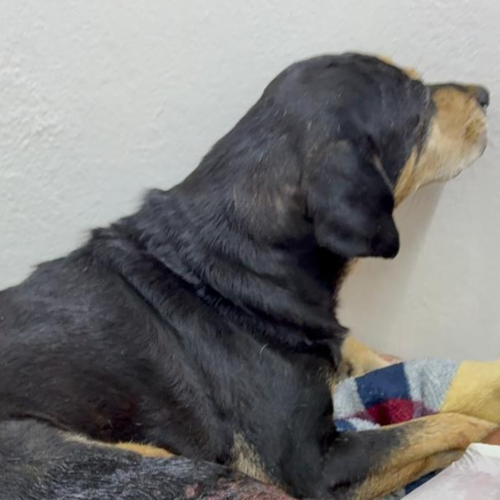 Foto: Reprodução/Estadão