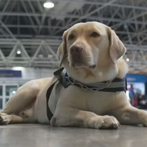 Créditos: Reprodução / TV Globo