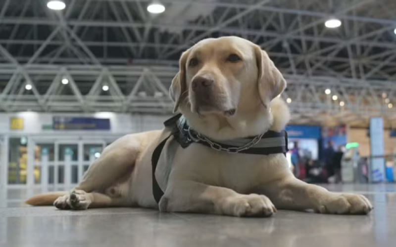 Créditos: Reprodução / TV Globo