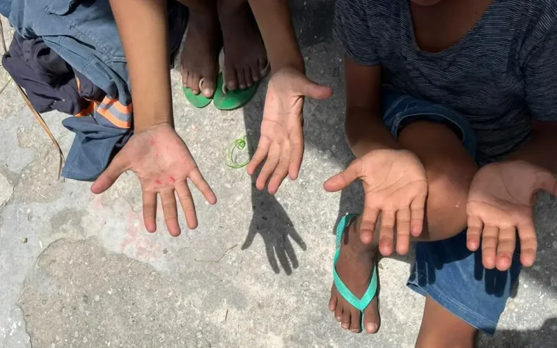 Foto: Ministério do Trabalho | Divulgação