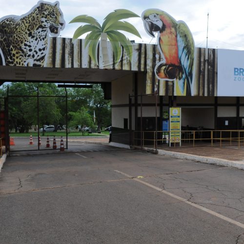 Foto: Jardim Zoológico de Brasília