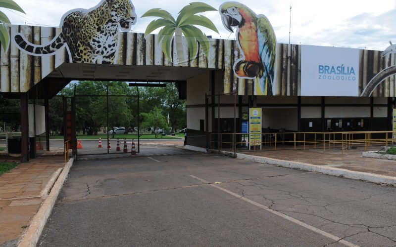 Foto: Jardim Zoológico de Brasília