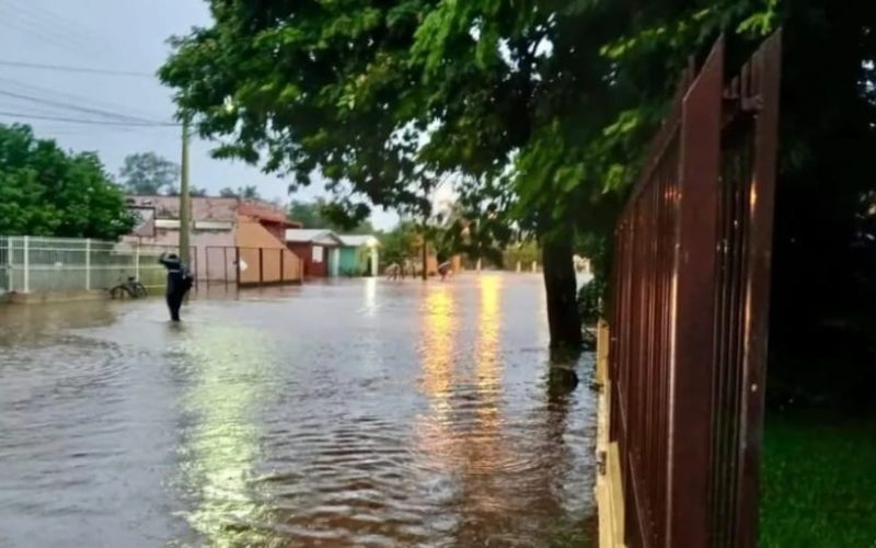 Foto: Rádio Cultura