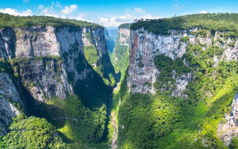 Reprodução/ Cultura RS