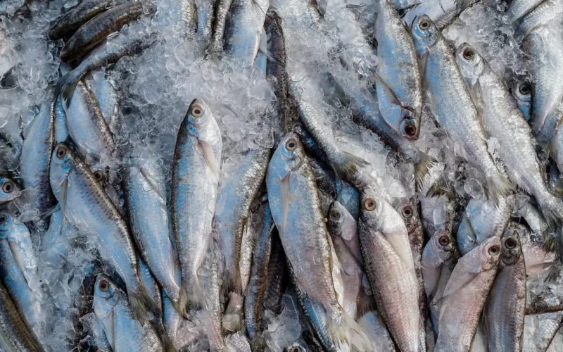 Foto: Rafa Neddermeyer/Agência Brasil
