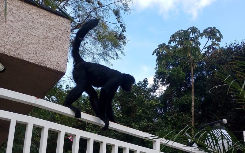 Foto: Reprodução/Redes Sociais