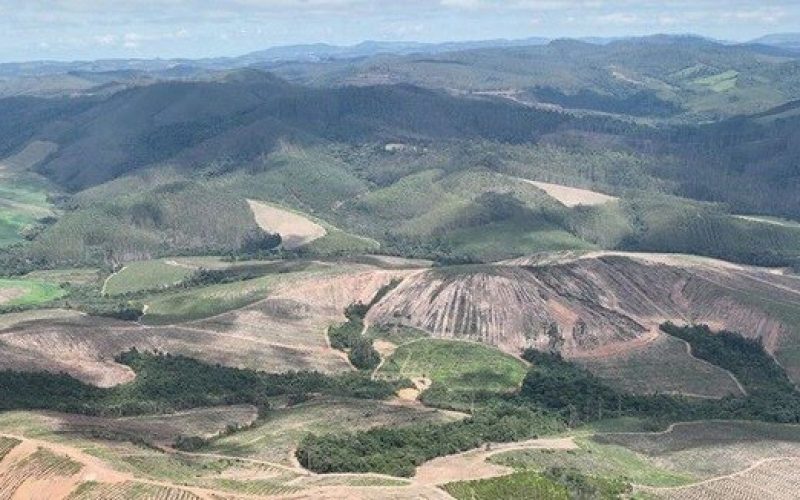 Foto: Divulgação / Meteoric Resources