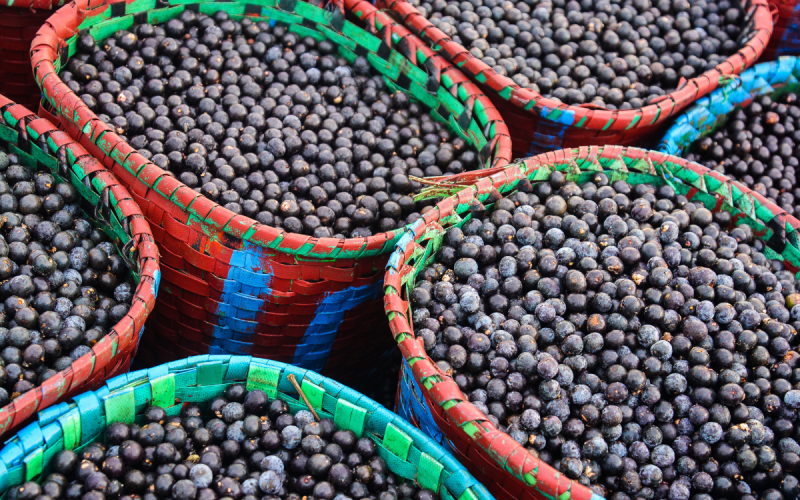 Foto: Agro Estadão